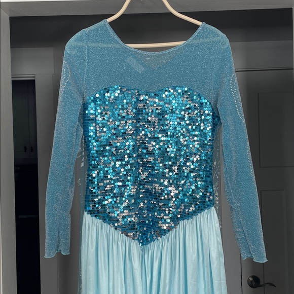 Adult Elsa Frozen Dress Costume - Picture 7 of 11
